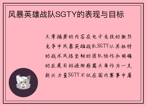 风暴英雄战队SGTY的表现与目标