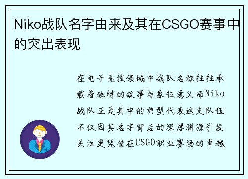 Niko战队名字由来及其在CSGO赛事中的突出表现